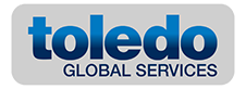 Toledo Group Logo